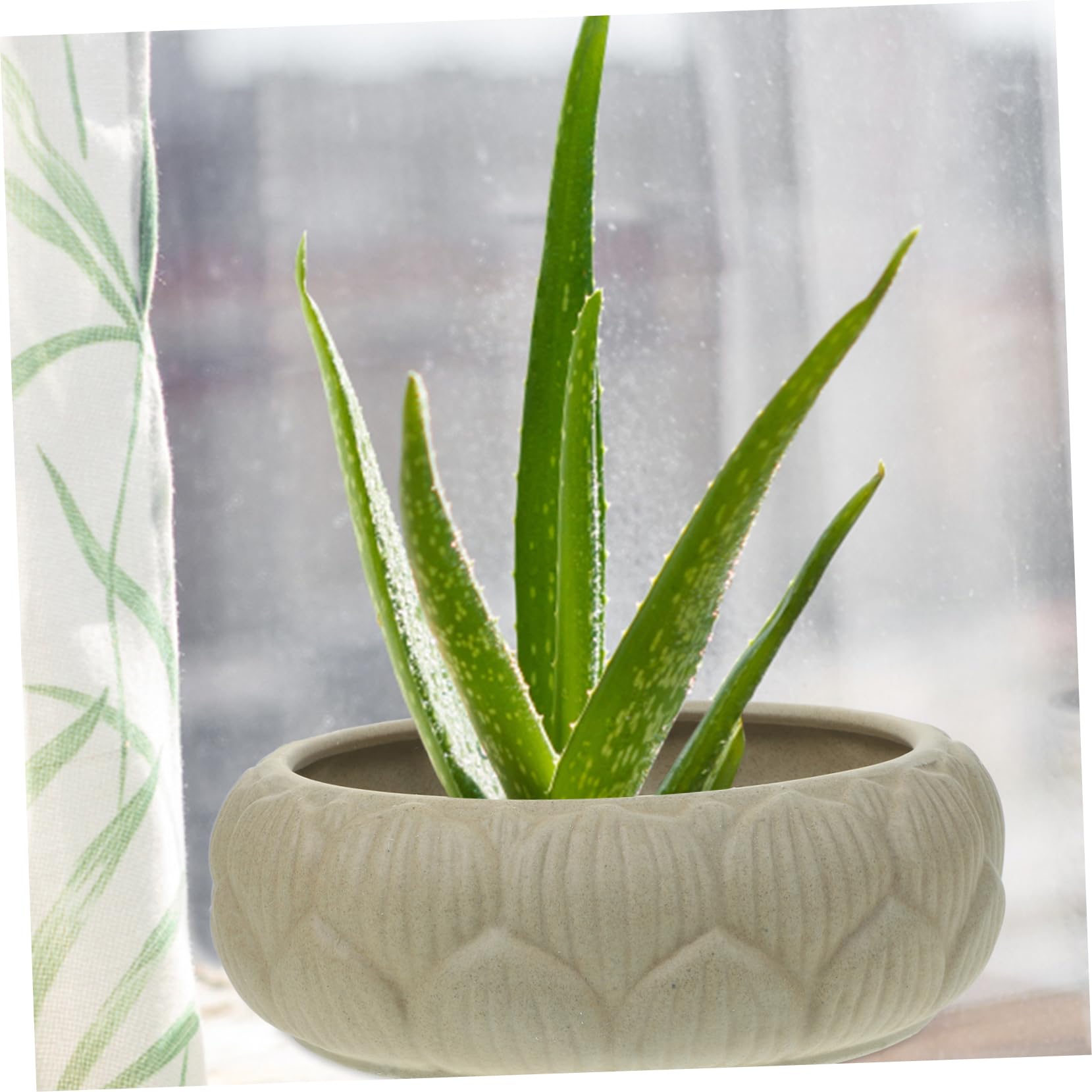Yardwe Hydrokultur-Pflanzschale Aus Keramik – 16 X 16 X 6 Cm, Ohne Loch, Für Seerosen & Narzissen