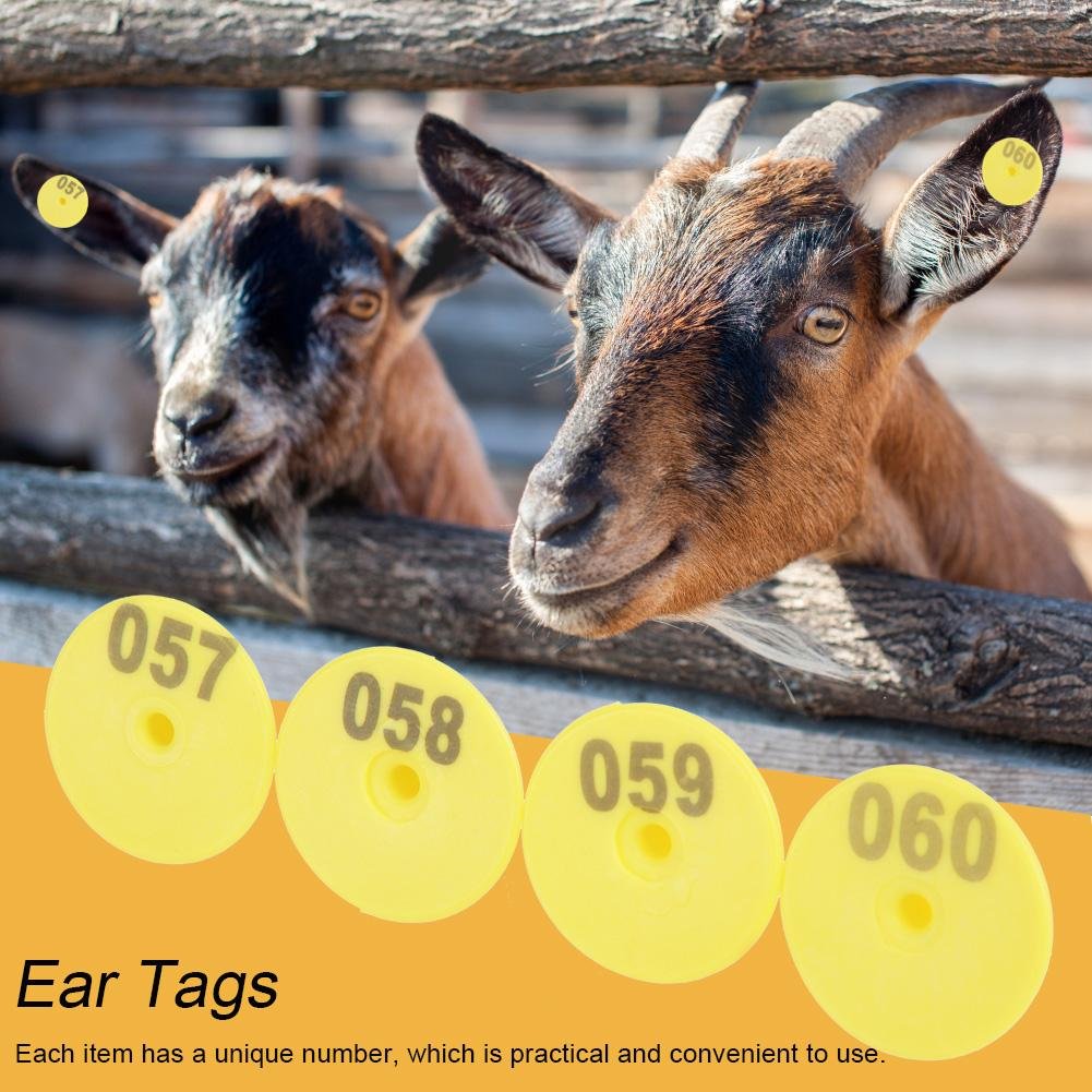 Étiquettes d'Oreille pour Animaux de Ferme, 100 pièces, Plastique avec Numéros, pour Bovins Chèvres Porcs Ovins