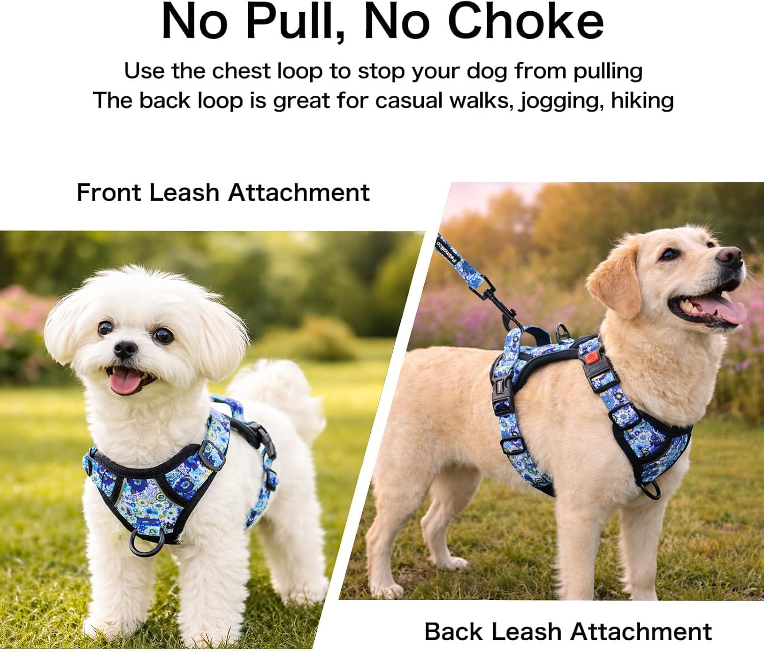Petmolico No Pull Dog Harness, Leash & Poop Bag Holder, Small, Blue Daisy image 3