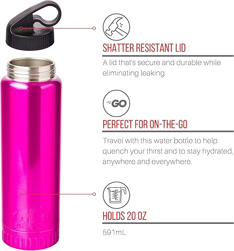 Miniatura 3 de Silver Buffalo Botella de agua de acero inoxidable de doble pared aislada al vacío, 20 onzas, magenta