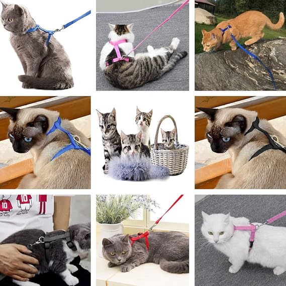 2 Pack Cat Harness and Leash, Adjustable Comfortable Nylon Pet Strap Collar with Leash, Escape Proof Safety Rope Leads Chest Strap for Kitten Puppy Rabbits Walking Training (Black & Red)