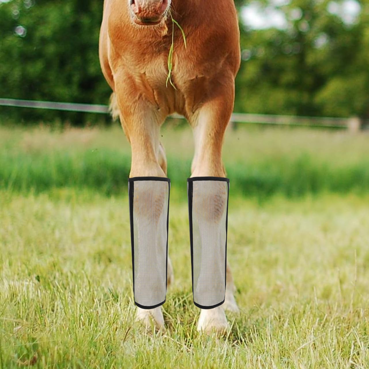 Besportble 4 PièCes Anti-Mouches pour Chevaux Maille Respirante Protection Efficace des Jambes pour Soins ÉQuins Et CompéTitions ÉQuestres