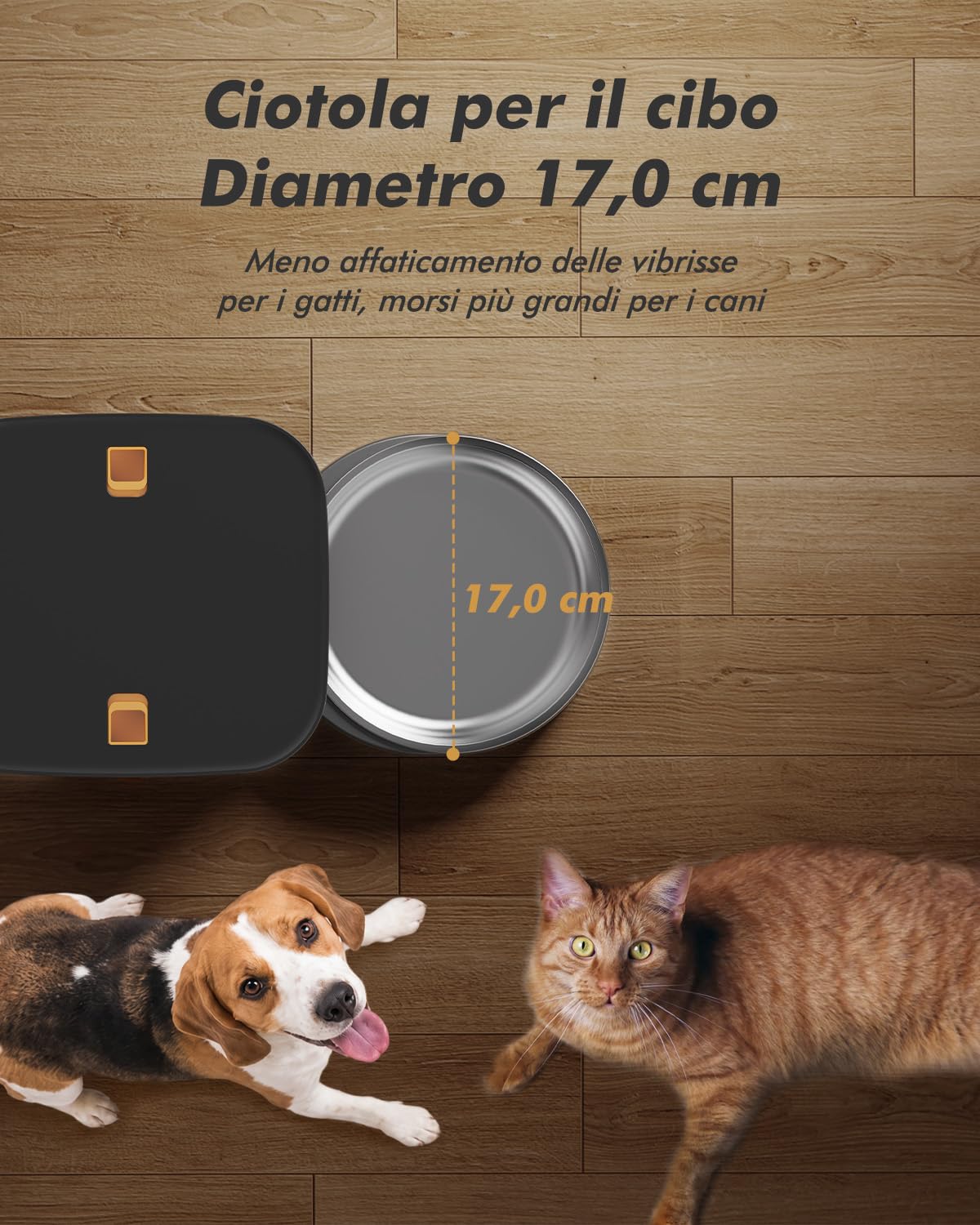 Nityers Distributore Automatico Cibo Gatti e Cani — immagine 3 di 16
