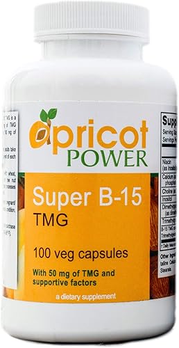 Apricot Power Ácido pangámico no tóxico Super B-15 - Niveles de oxígeno y energía para la salud - 100 cápsulas vegetales