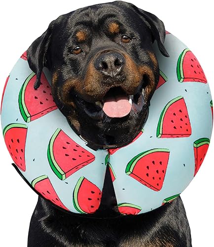 Miniatura 111 de MIDOG Inflatable Dog Cone Alternative for After Surgery - Soft Protective Donut Collar Prevents Licking, Comfortable Recovery E-Collar Alternative