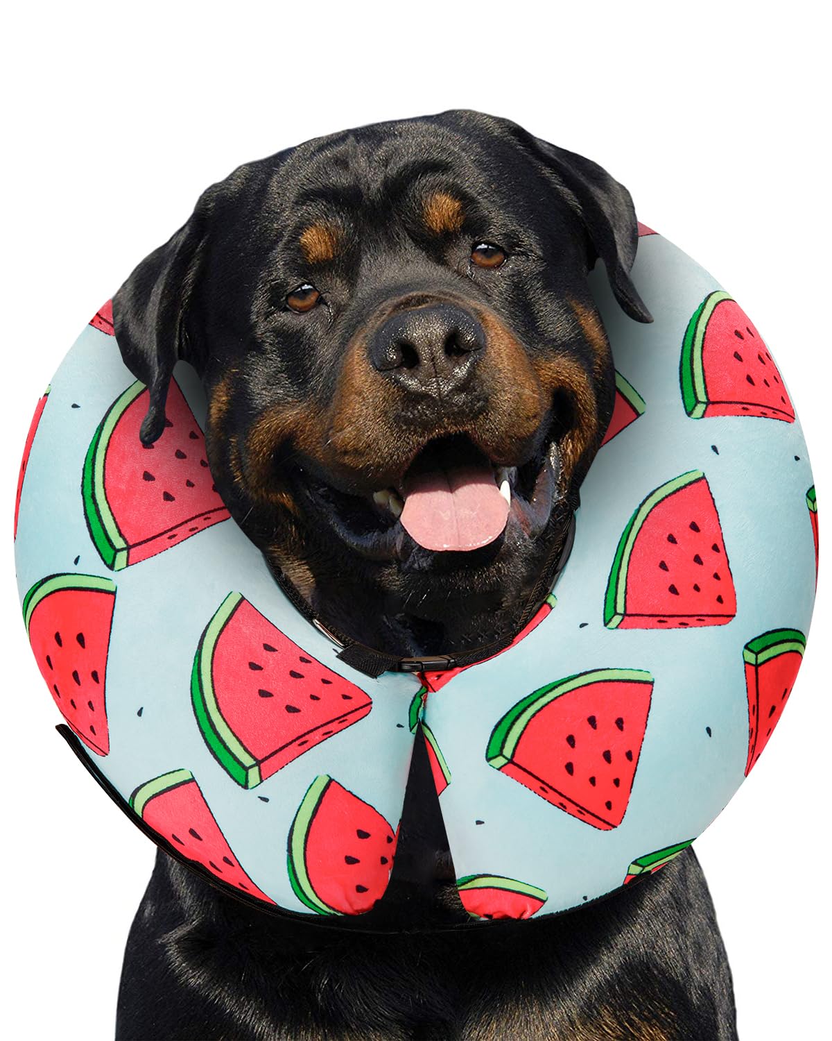MIDOG Inflatable Dog Cone, Soft Donut Recovery Collar, ‌Melon, X-Large