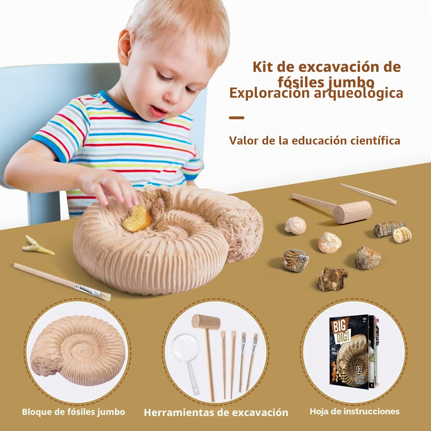 Byncceh Kit de Excavación de Fósiles para Niños – Descubre 12 Fósiles Auténticos en 1 Gran Bloque de Yeso | Juego Educativo Stem para Niños de 6 a 12 Años Pequeños Exploradores