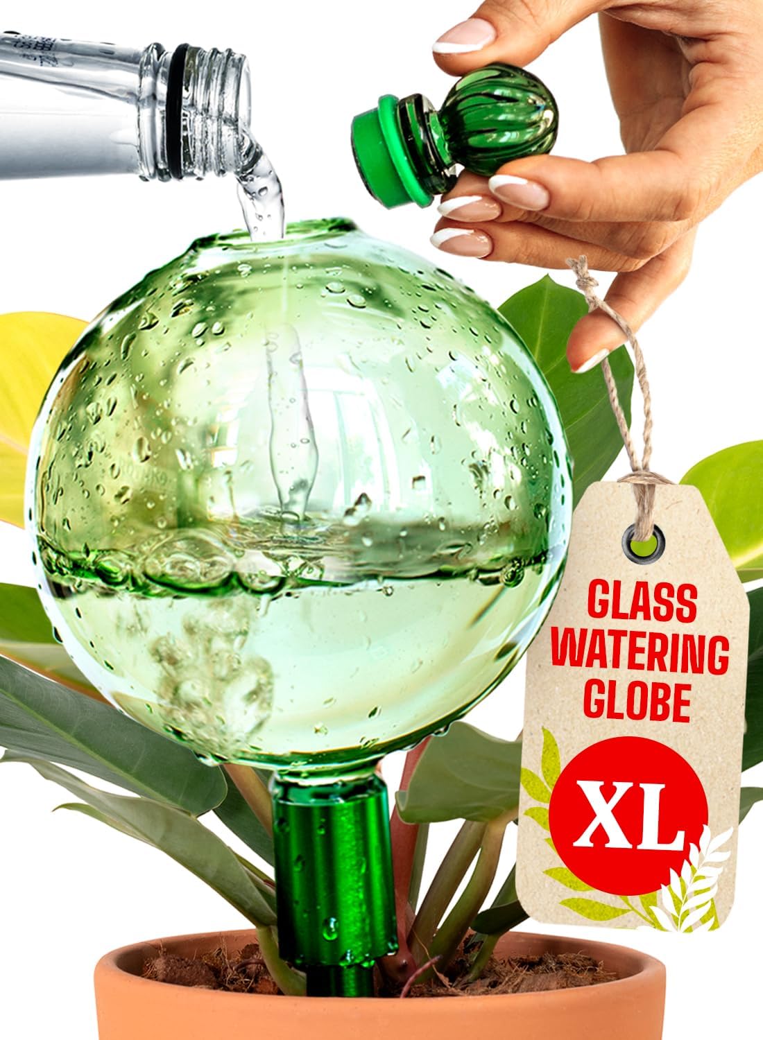 16 Oz Plant Watering Globes for Indoor Plants with Metal Self Watering Planter Insert - Premium XL Glass Hand-Blown Globe - Automatic Plant Waterer Indoor, Gift Idea for Gardeners [1 Globe, Golden]