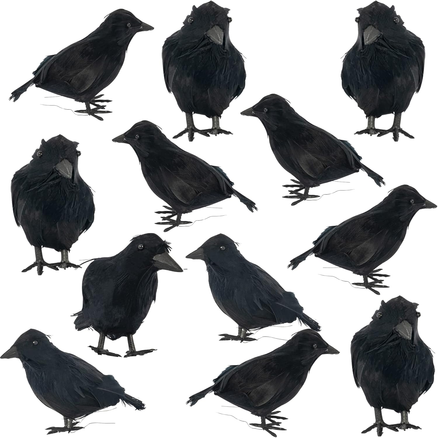 Dazzle Bright Halloween Black Feathered Crows Decor, Holiday Decoration for Indoor Outdoor Home Yard Garden Party Carnival Supplie (12 Pack)