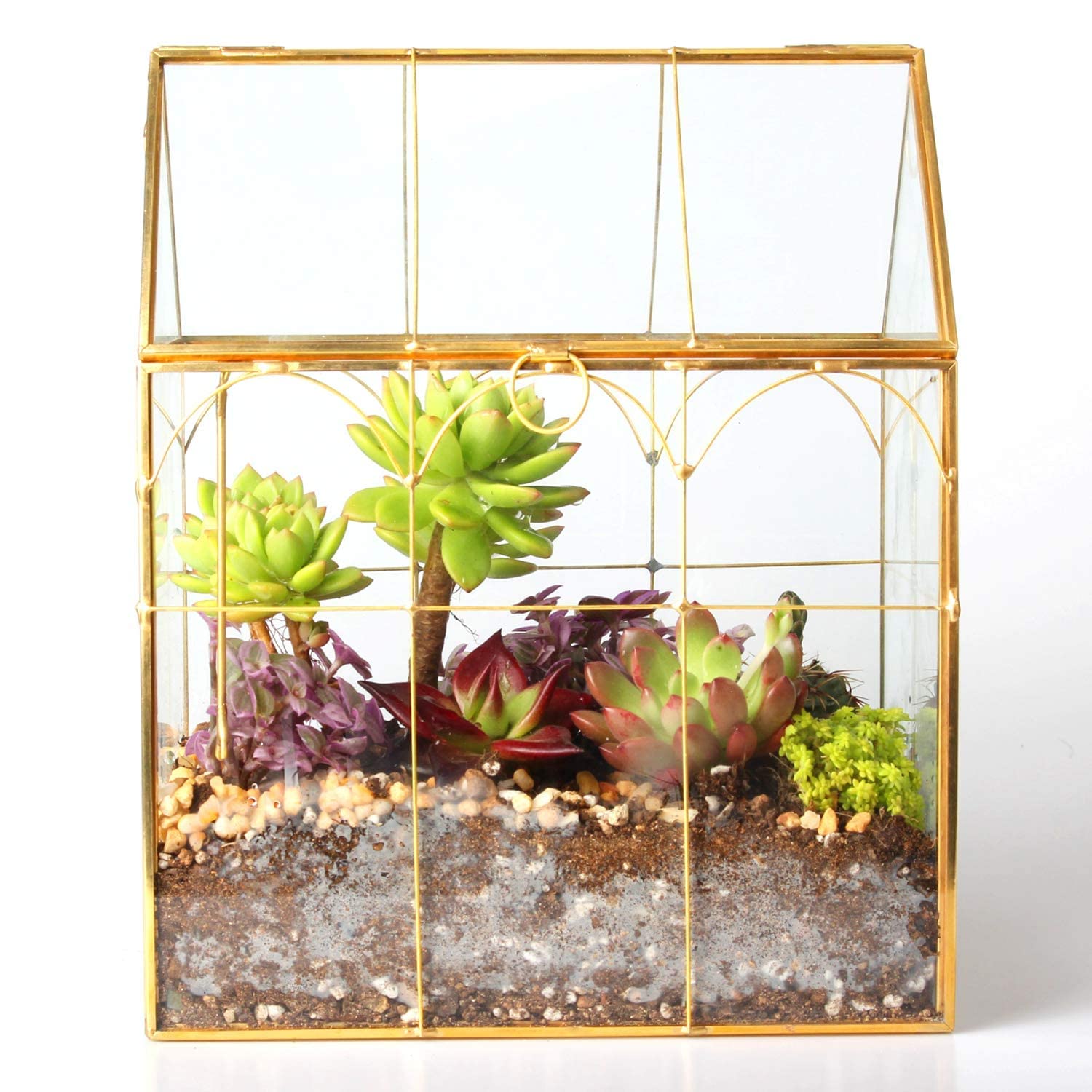 ELEGANTLIFE Szklana geometryczna roślina, terrarium, sukulenty i doniczka powietrzna do domu, ogrodu, biura, dekoracja (złoty dom)