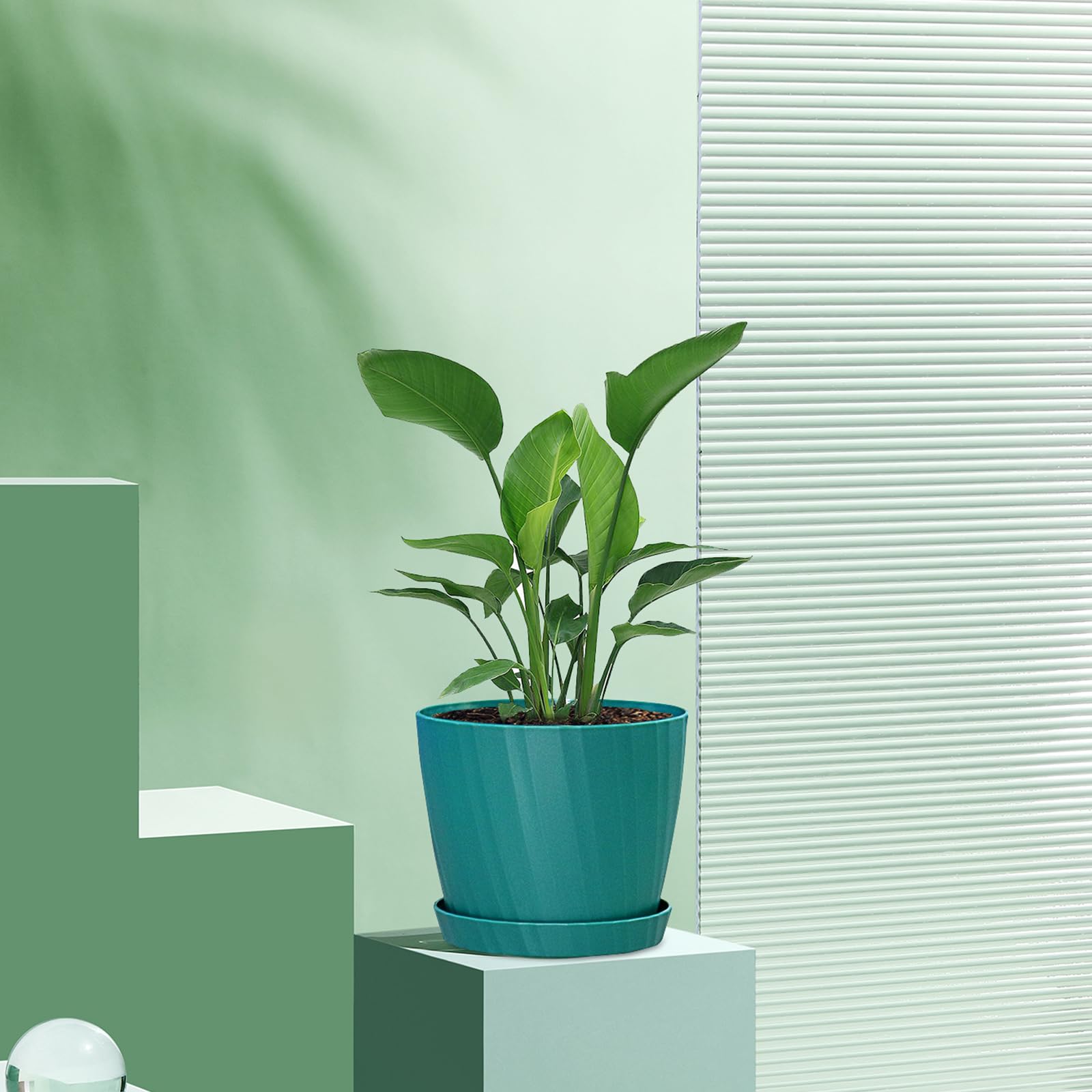Adnee 15 Sottovasi Per Piante Appese In Plastica Trasparente - Diametro 15,2 Cm, Con Gancio, Per Interni/Esterni - 4
