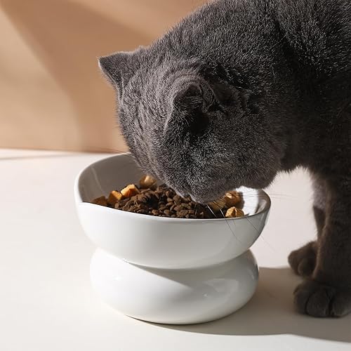 Miniatura 4 de WUYIAZHI Lindo cuenco para gatos en forma de corazón, cuenco elevado de cerámica blanca para gatos, pequeño plato elevado para gatos y gatitos de