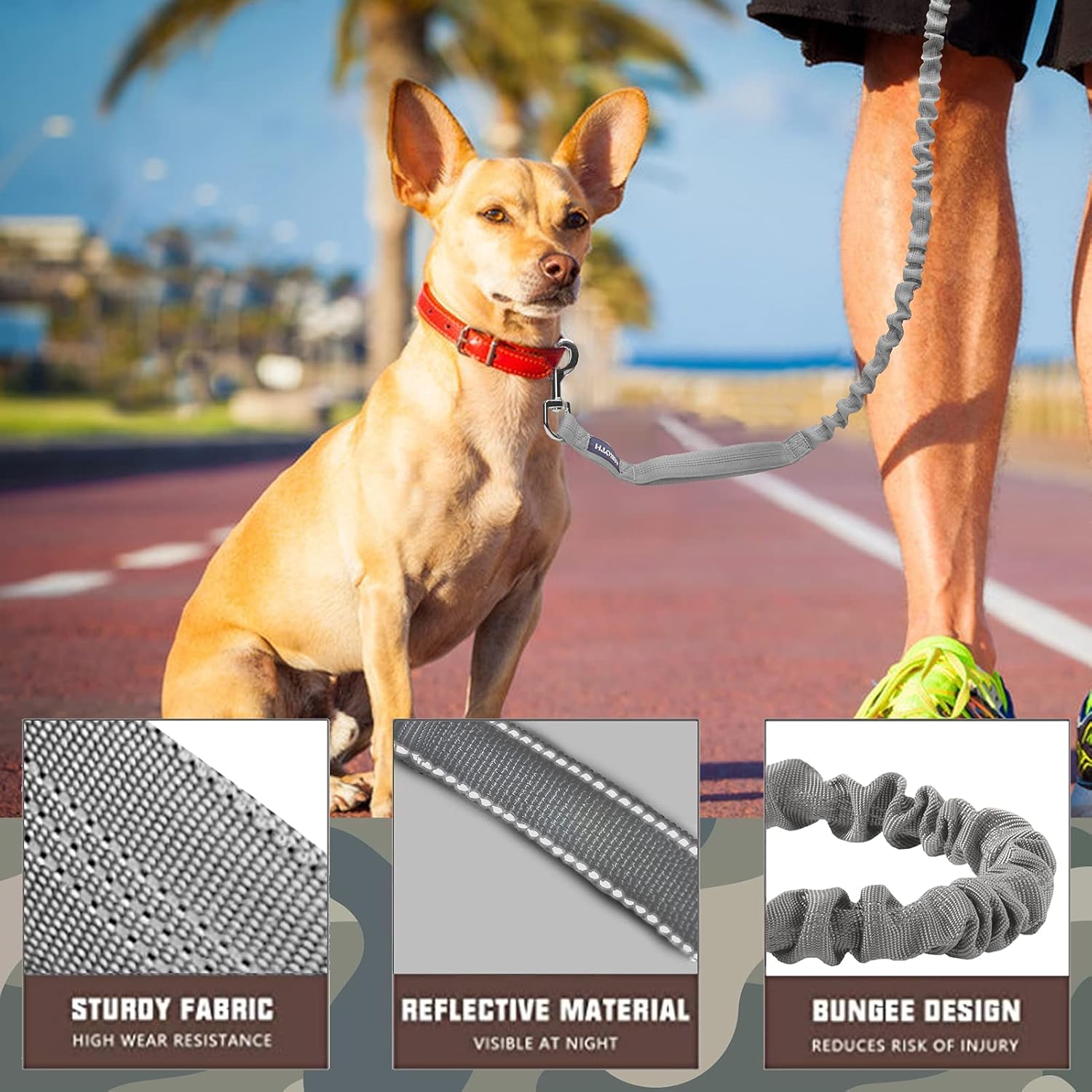 Auroth Heavy Duty Dog Leash Bungee with Reflective Dog Collar for Medium Large Dogs, Dog Collar and Leash Set, 6 FT No Pull Dog Leash with Car Seat Belt Shock Absorption