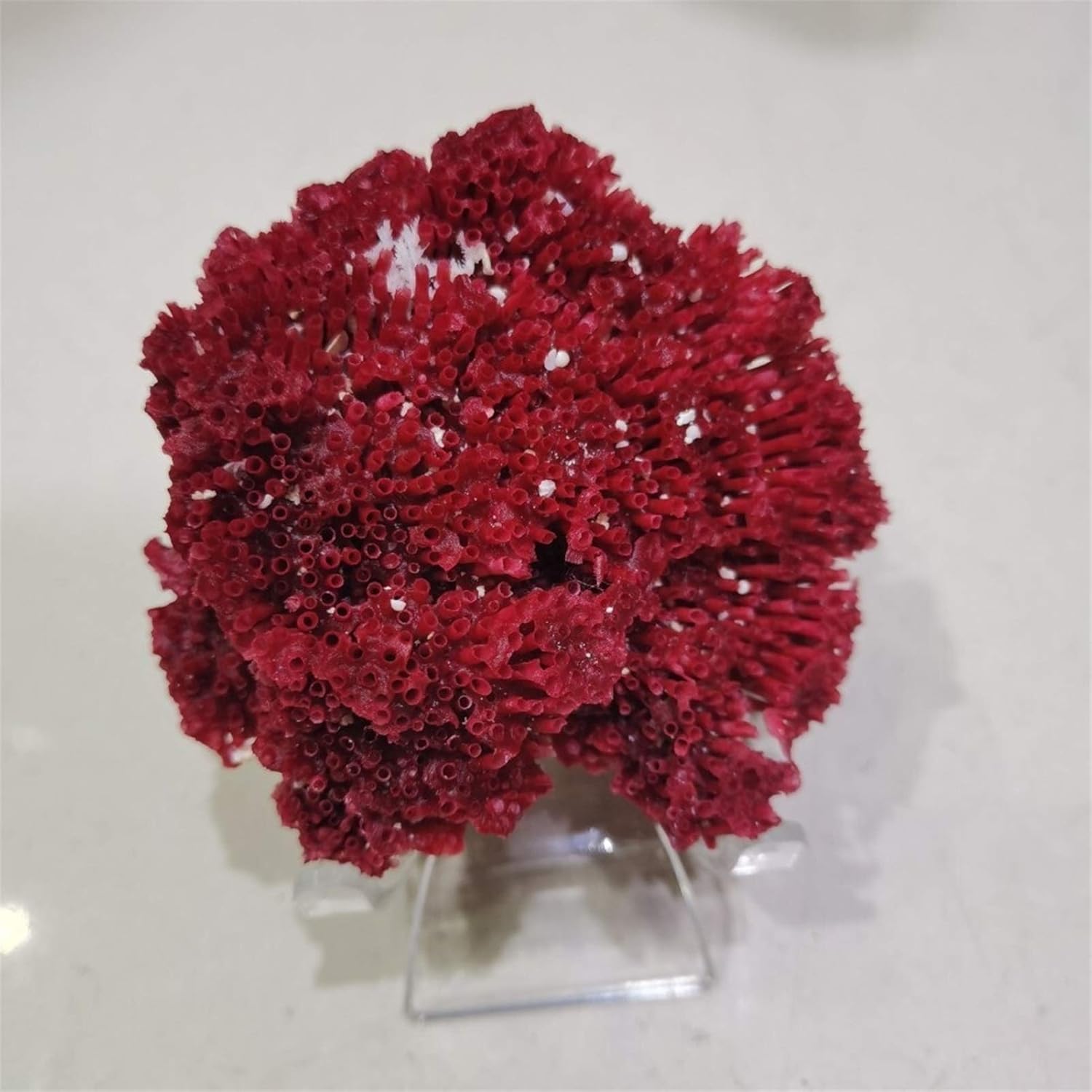 Natural submarine red Coral ore specimen Fish Tank Aquarium Landscaping Furnishing Natural Ornament Marine Home Wedding Decor
