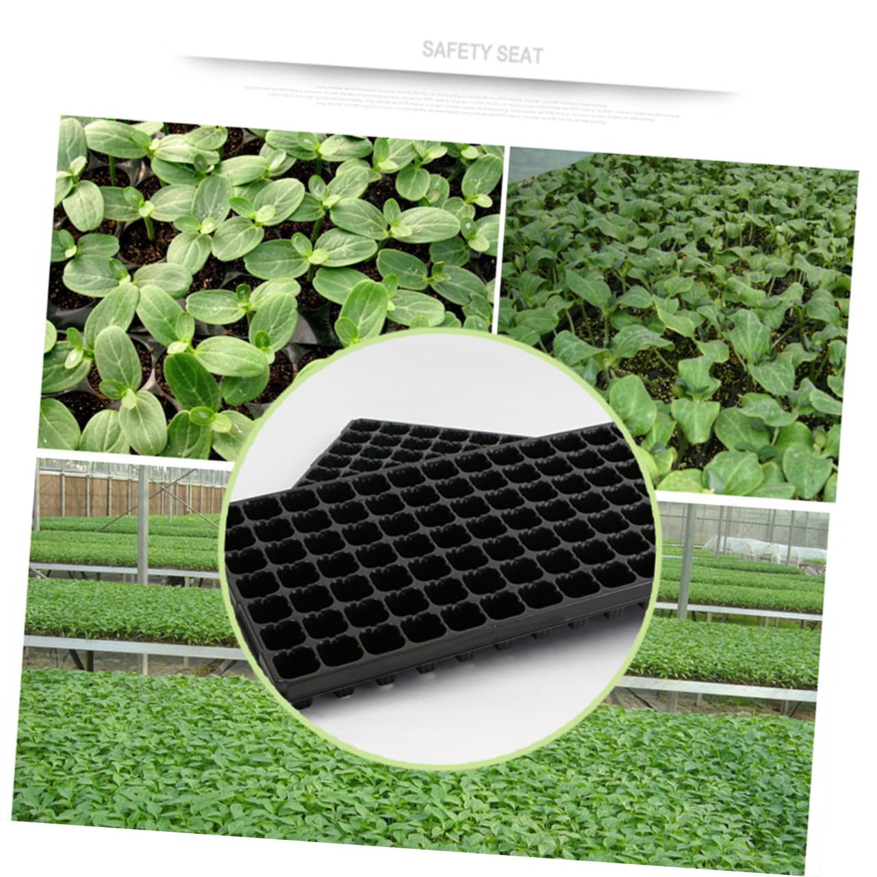 Vassoio per Semi da Giardino 105 Celle Fori PVC Nero 10 Pezzi