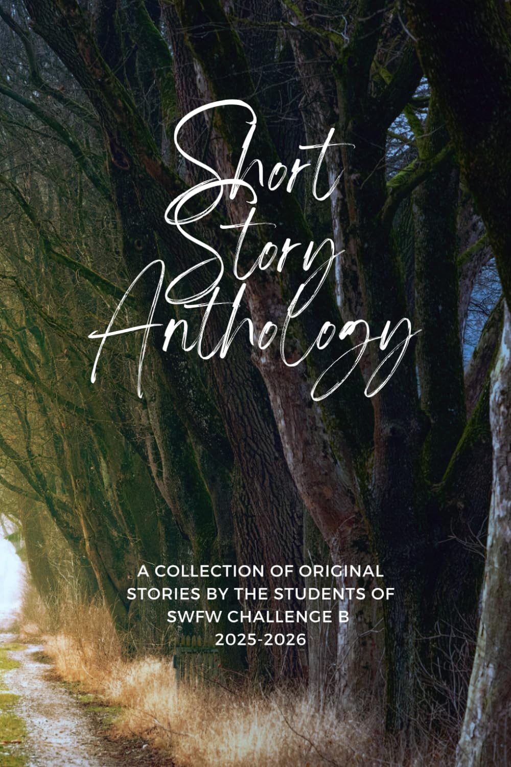 Short Story Anthology
