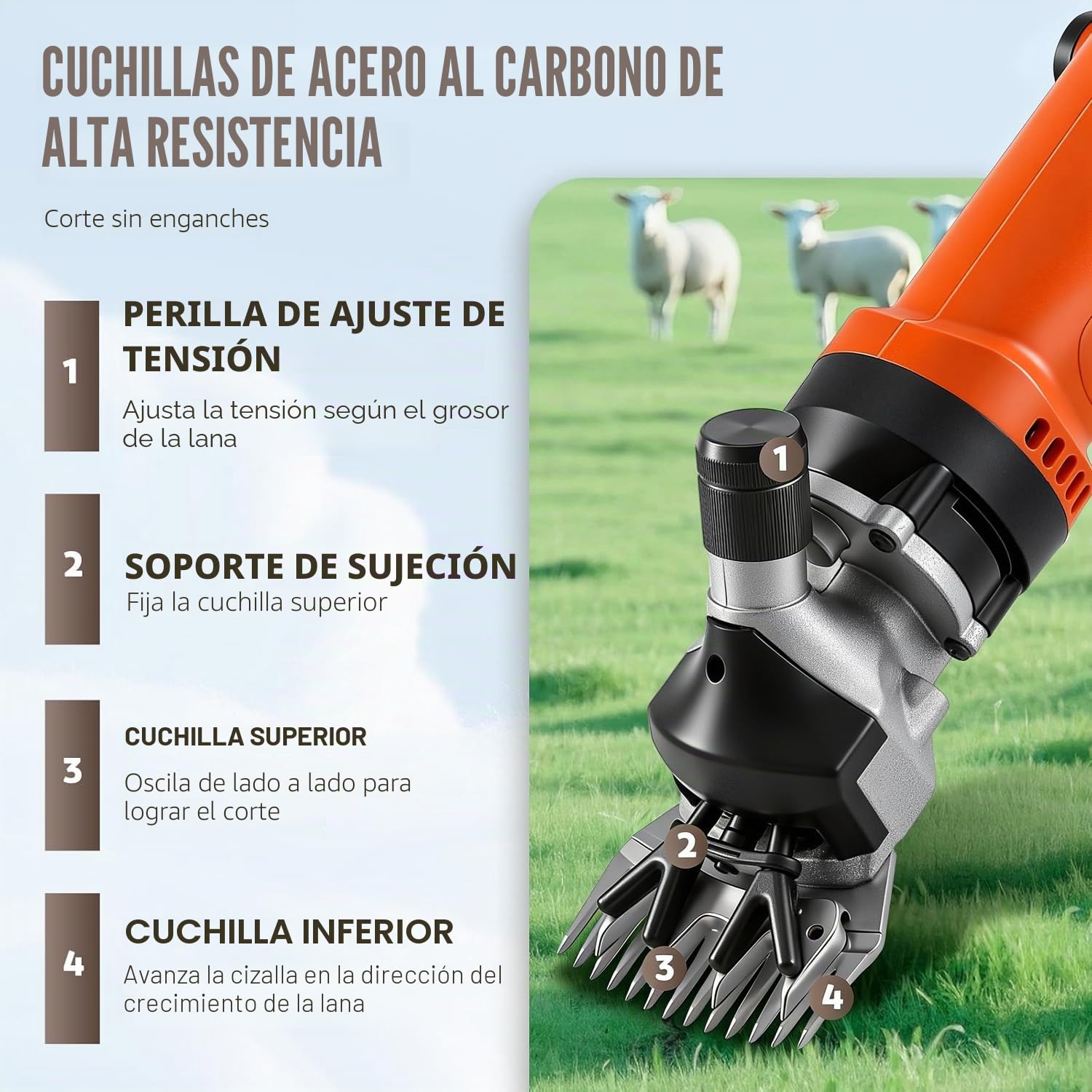 CGOLDENWALL Esquiladora para Oveja Profesional 690W 2400RPM, Ajuste de 6 Velocidades, con Cable de Alimentación de 5 Metros, para Ovejas Alpacas Cabras - Aceite Lubricante Incluido