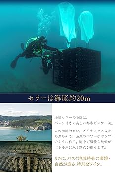 Amazon.co.jp: 【ギフトにおすすめ】海底熟成ワイン バスク