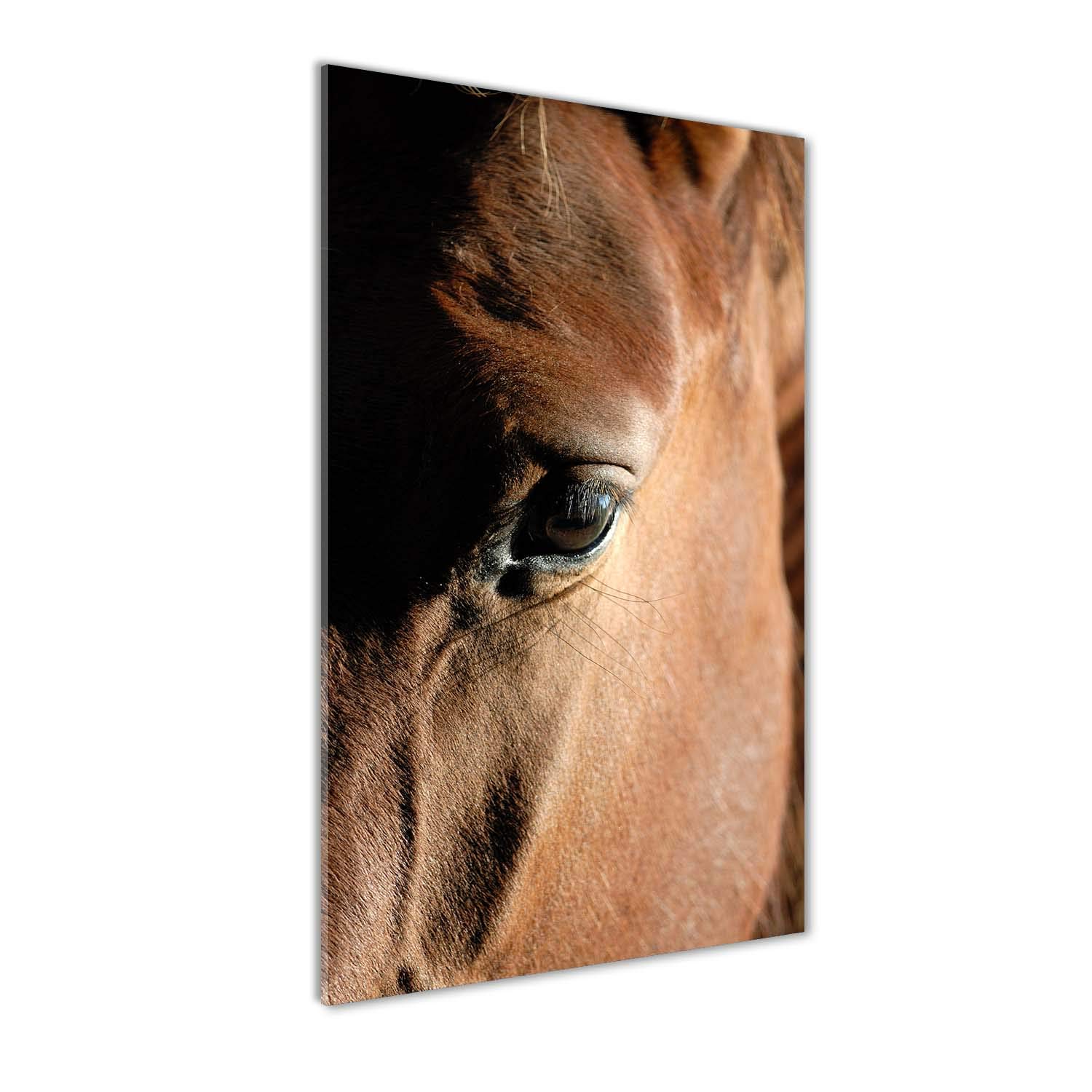 Image sur verre cheval brun Tulup pour sublimer votre décoration de cuisine