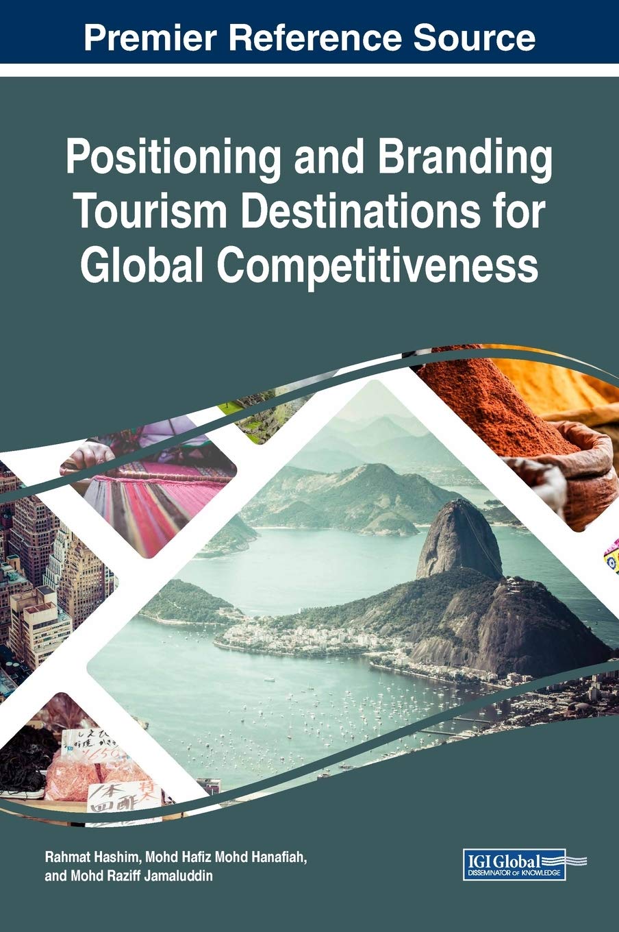 Tourism Destinations Branding et positionnement international livre