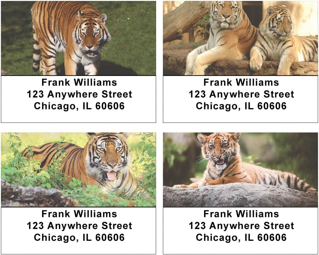 Tigers Address Labels
