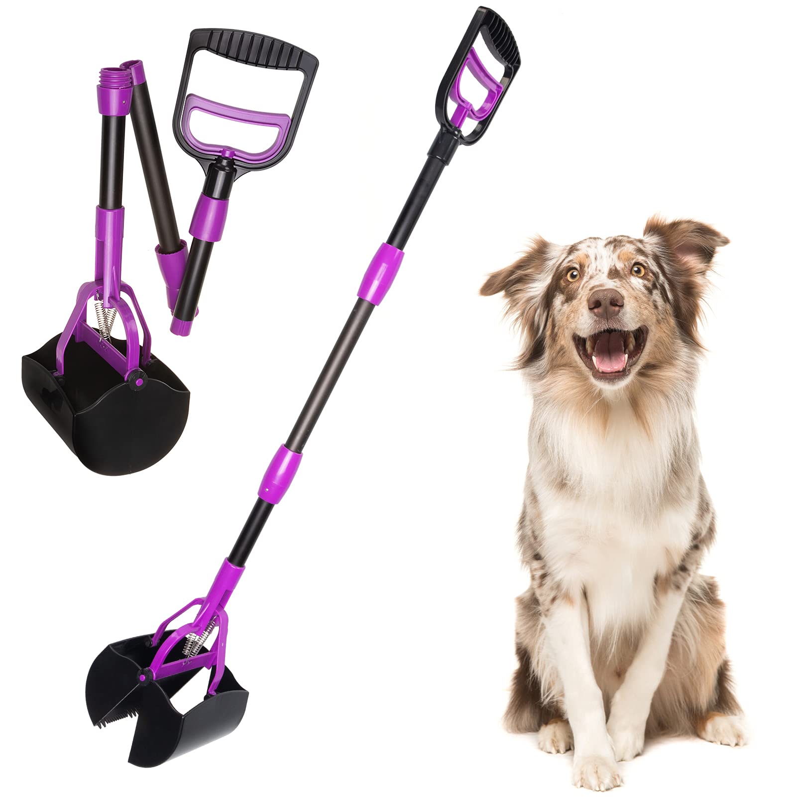 How To Clean Up Wet Dog Poop In Yard