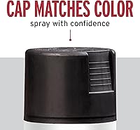 Vista 6 de Rust-Oleum 7776830 - Pintura en aerosol para prevención del óxido, 12 onzas, negro plano