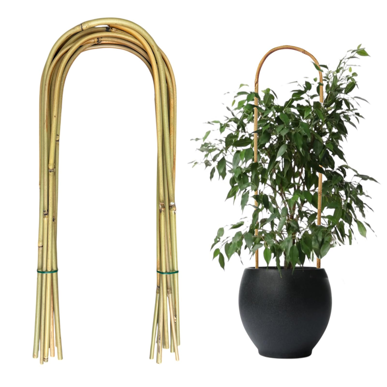 20 Pack Bamboo U Trellis for Potted Plants - 16 Inch U-Shaped Plant Support Hoop, Heavy-Duty Arch Stake for Climbing Vines Cucumbers, Indoor/Outdoor