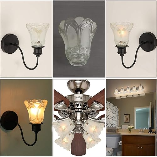 Miniatura 2 de Paquete de 4 pantallas de vidrio transparente esmerilado con forma de campana, globo o cubierta de repuesto con adaptador de 2-18 pulgadas para