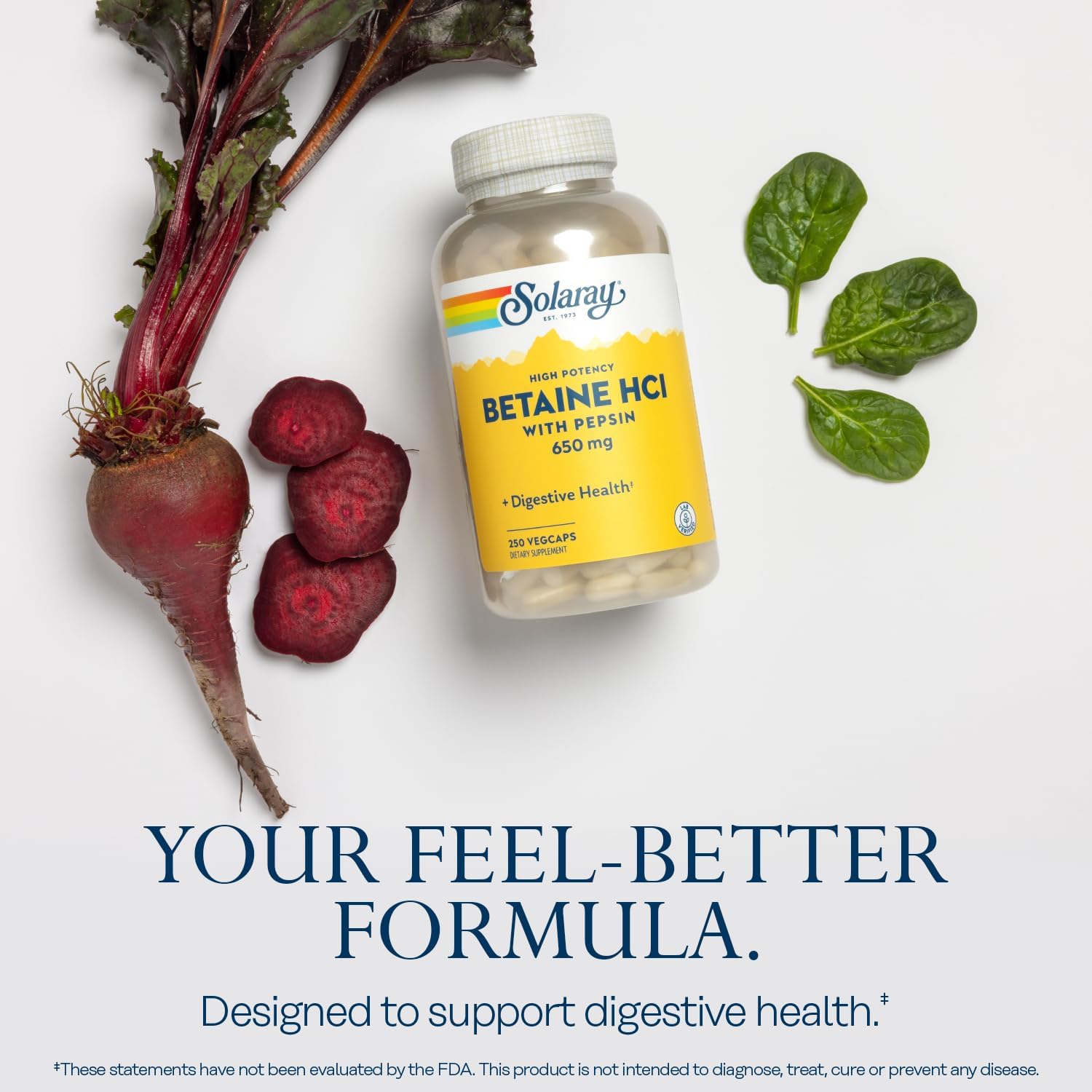 SOLARAY Betaine HCL with Pepsin - High Potency Hydrochloric Acid Formula - Digestive Health Supplement with Digestive Enzymes for Gut Health Support - 60-Day Guarantee, 250 Servings, 250 VegCaps