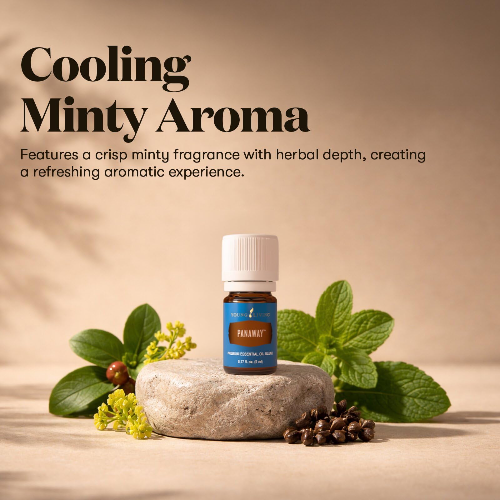 Young Living ヤング パナウェイ エッセンシャルオイル 5ml Amazon.com: PanAway 5ml Essential Oil by Young Living Essential