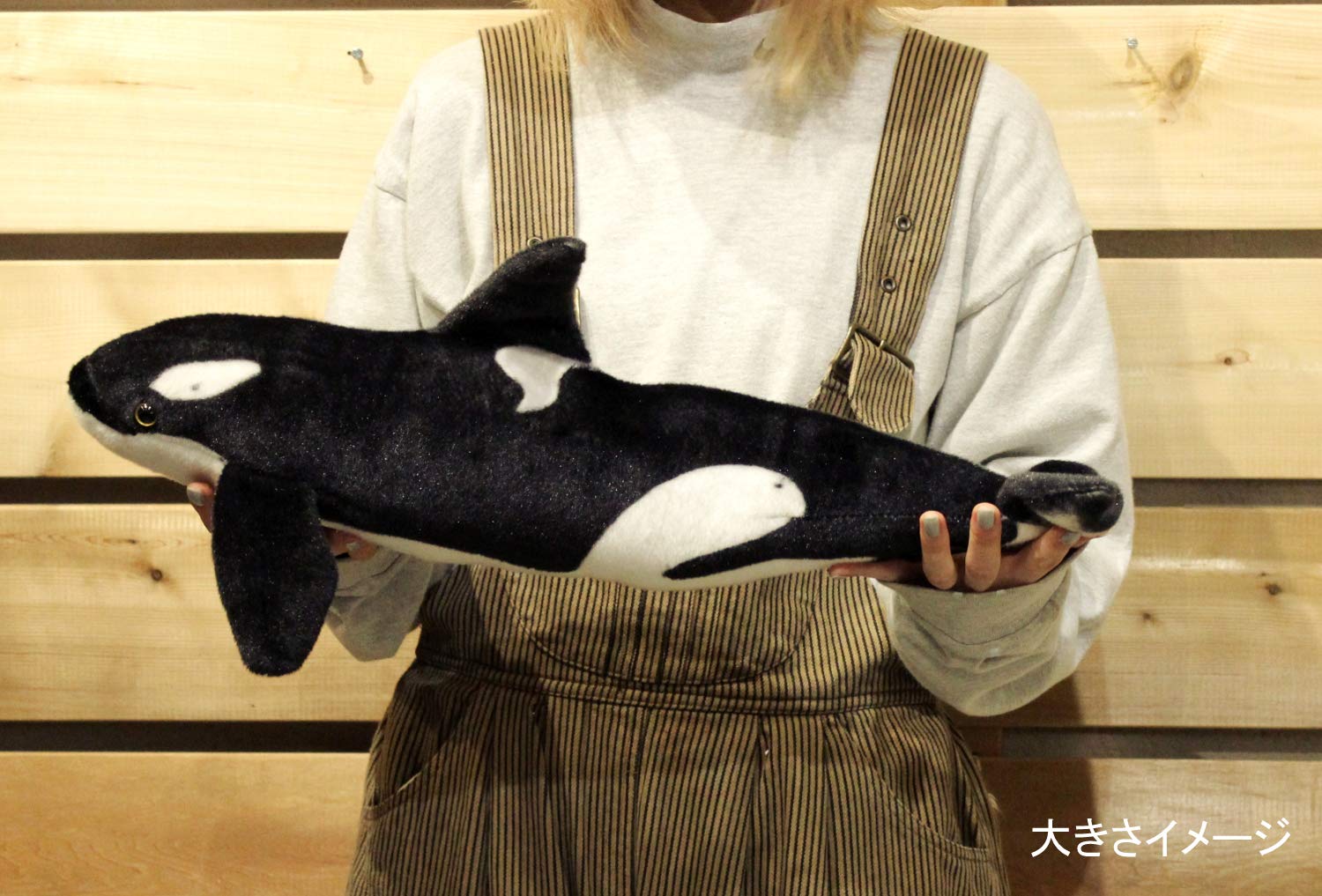 Amazon.co.jp: TOSSDICE ヌイグルミ シーアニマル/シャチ 60×10×10cm