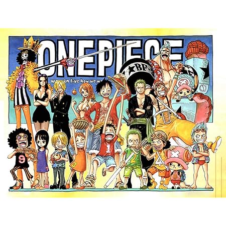 Amazon Co Jp Dfgad フルダイヤモンドモザイク漫画ワンピースラウンドラインストーンダイヤモンド絵画クロスステッチキットダイヤモンド刺繡パッド 40x50cm ホーム キッチン