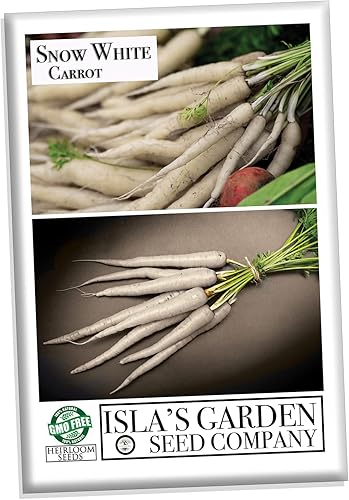 Semillas de zanahoria blancas como la nieve para plantar, más de 350 semillas de reliquia por paquete, semillas de jardín de Isla (semillas de