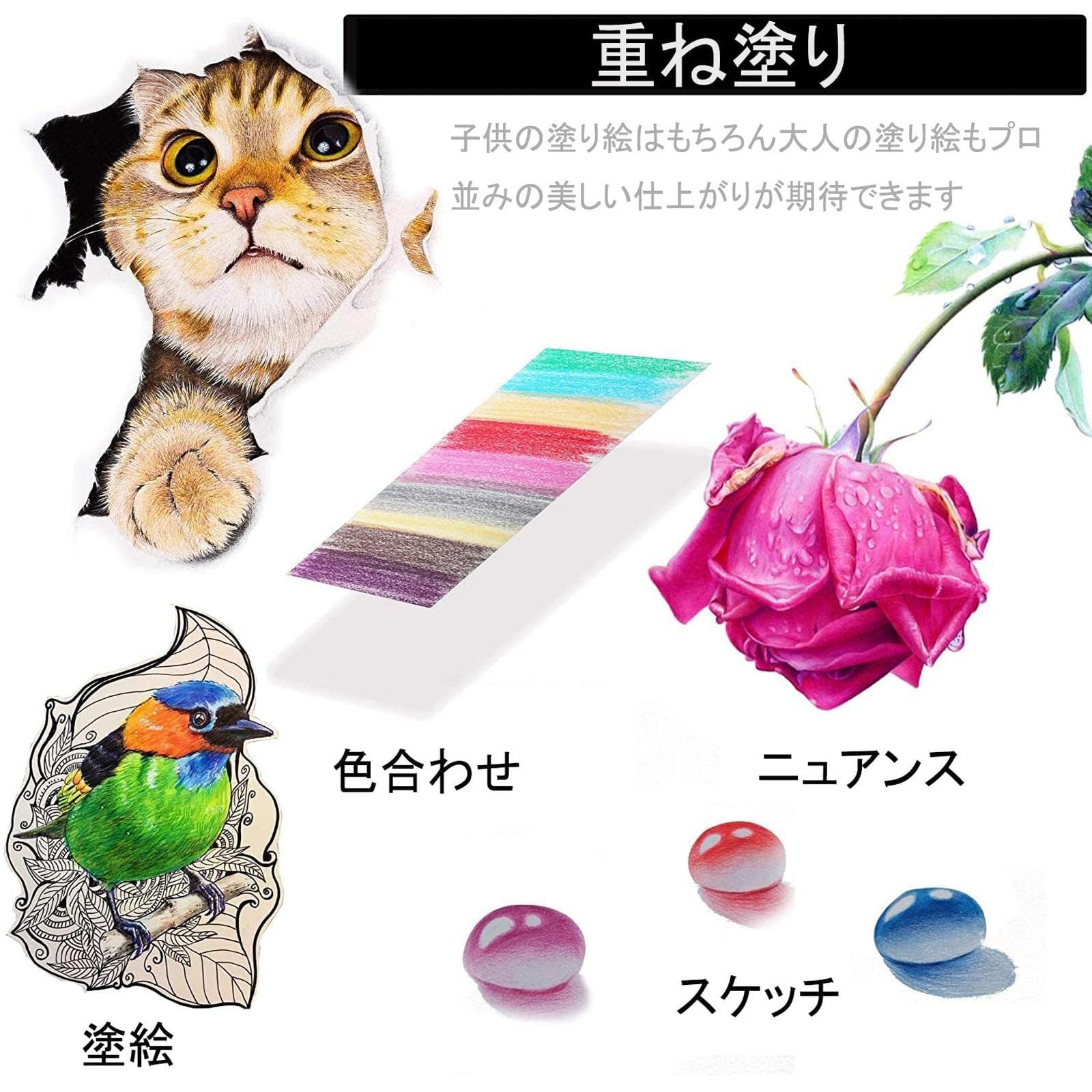 Amazon.co.jp: 色鉛筆 180色セット 油性色鉛筆 プロ専用ソフト芯色鉛筆 