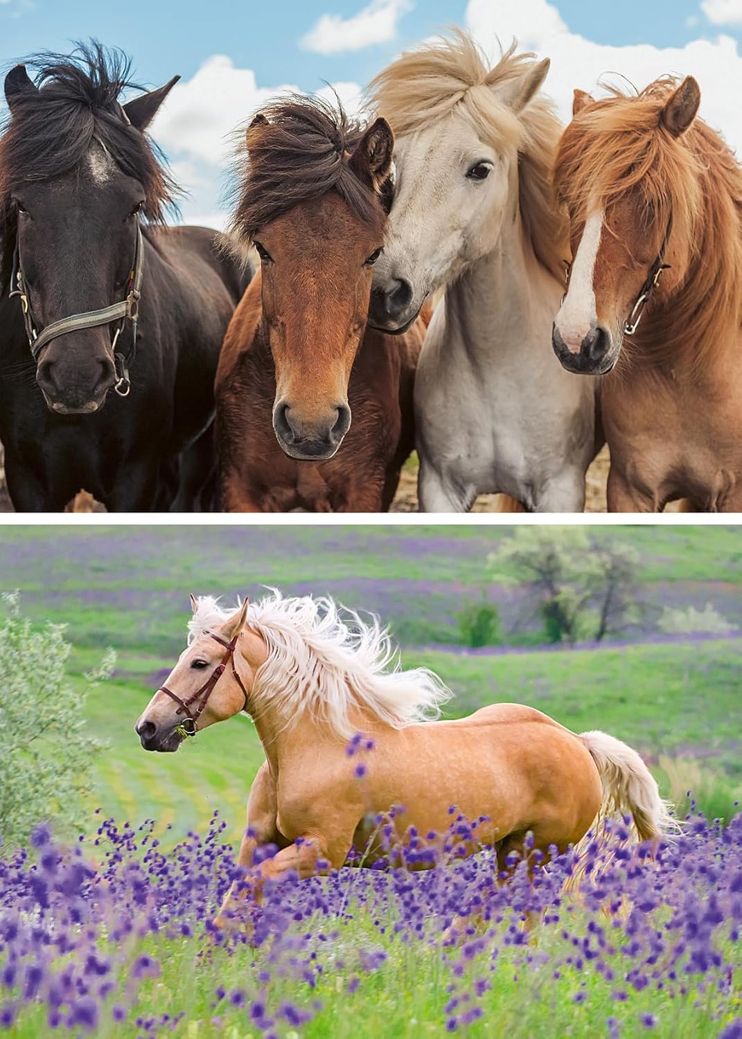 Ravensburger Children's Puzzle 05148 Horse Love Horse Puzzle for Children from 4 Years with 2 x 24 Pieces