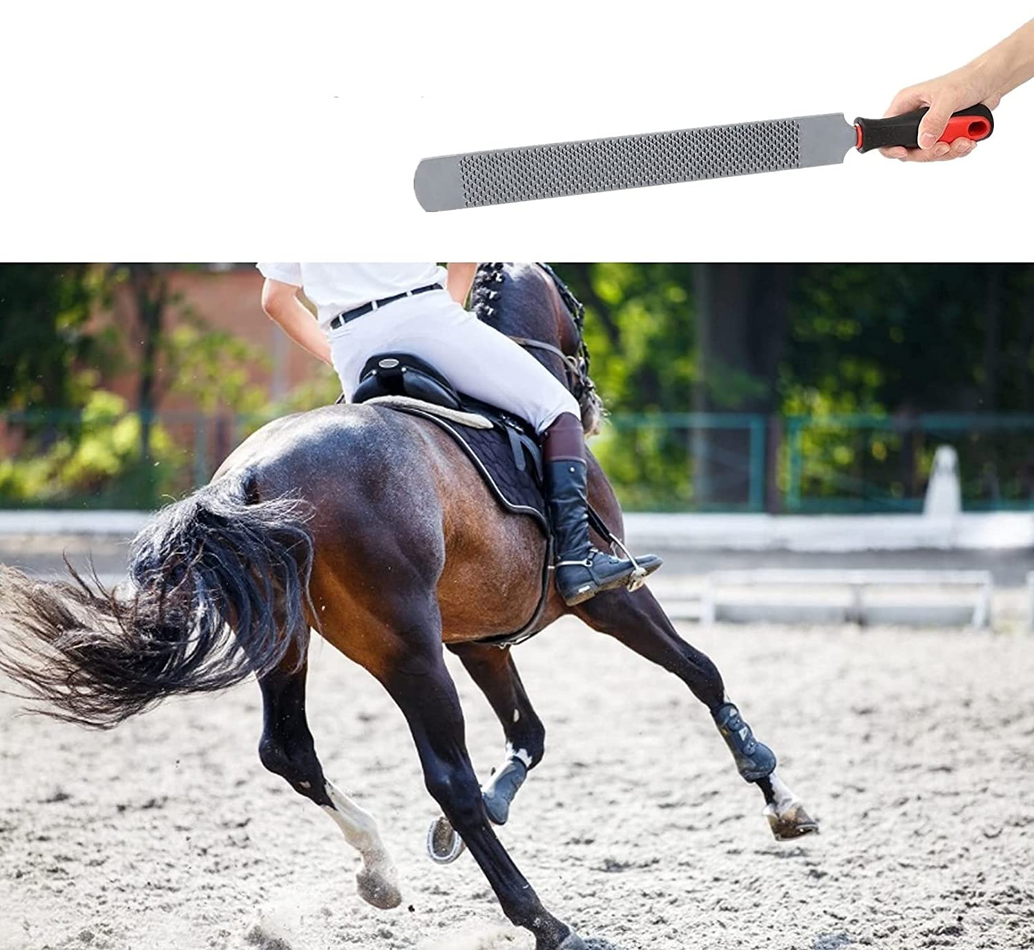 Zerodis Herramientas de Corte de pezuña Raspador de pezuña de Doble Cara Archivo de pezuña de Caballo Cuidado de pezuñas para Caballos Herramienta Profesional de herrador