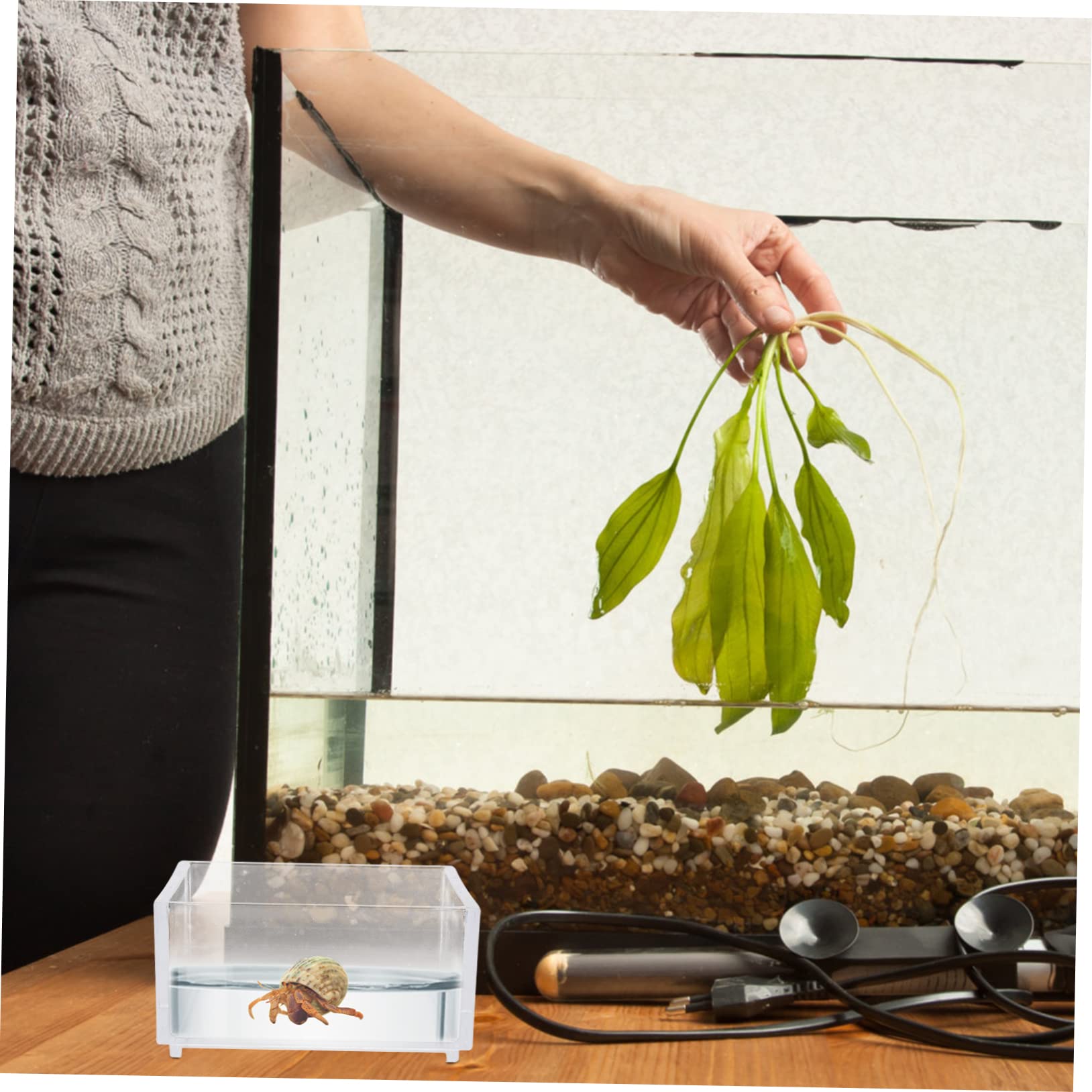 2 Ciotole Per Rettili A Forma Di Foglia - Per Tartarughe, Lucertole, Criceti, Design Piatto, Verde, 2 Misure