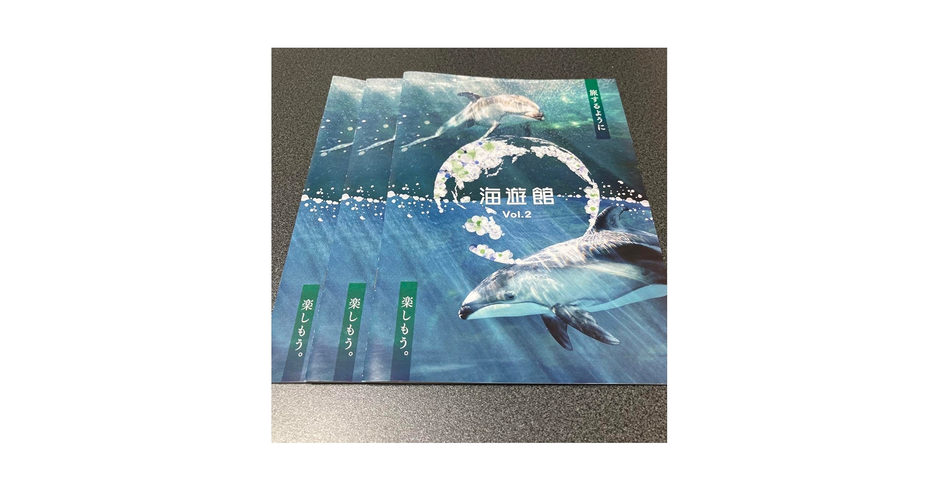 ★美品★海遊館パンフレット Amazon.co.jp: 海遊館 パンフレット 3部 2023.5発行 : 文房具