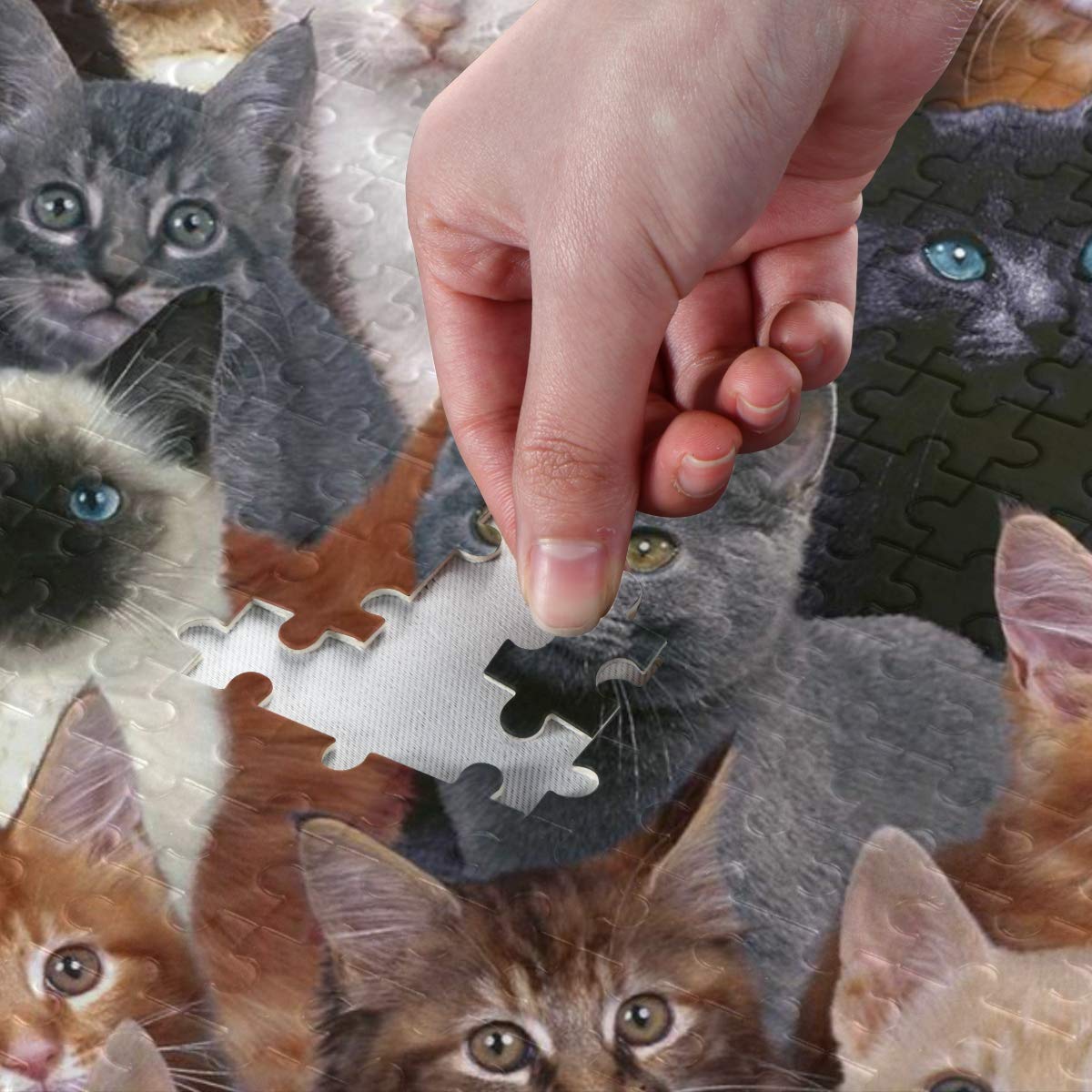 Amazon.co.jp: MAKIKU 1000ピース ジグソーパズル 猫柄 動物 50*75cm