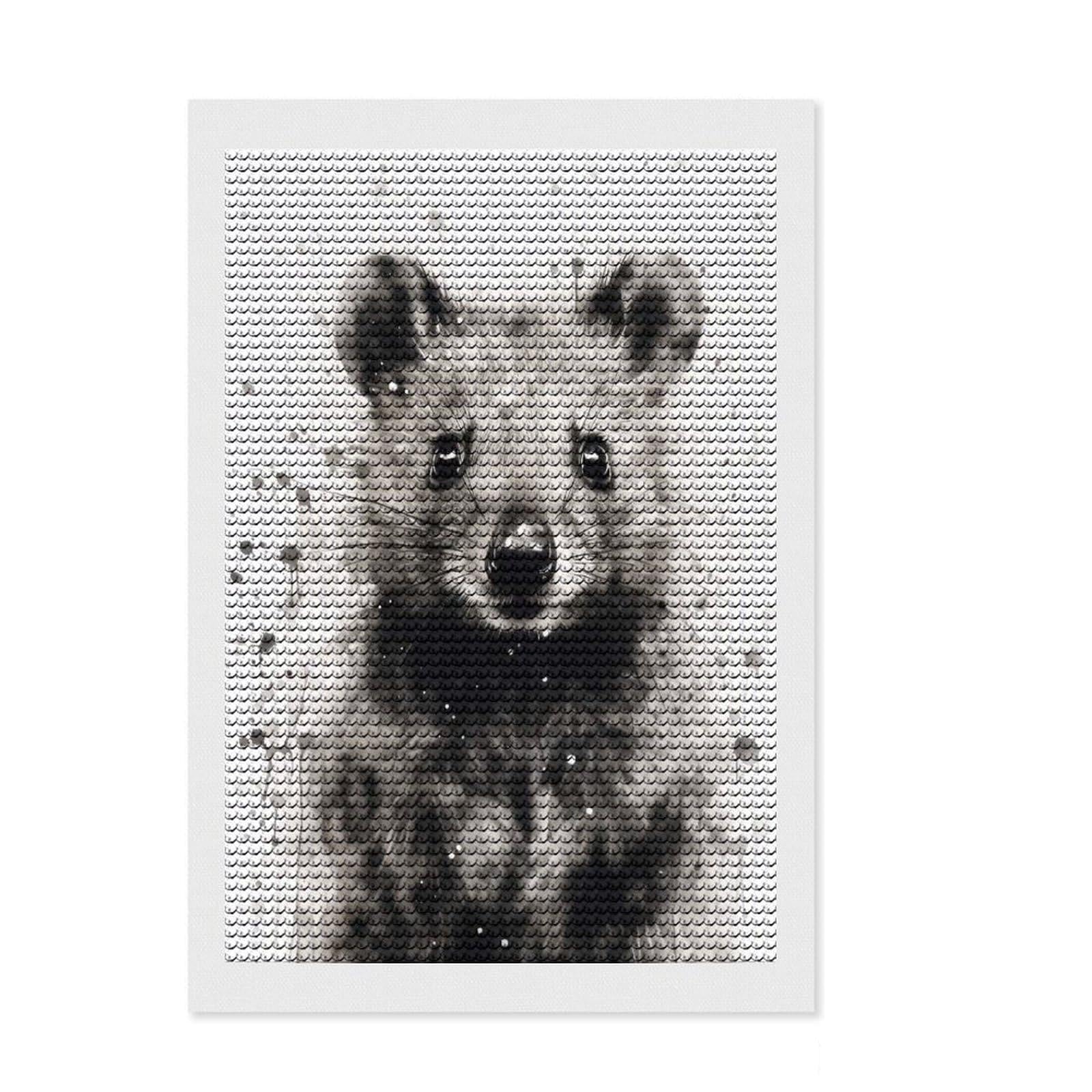 Junmoney Quokka Beauty Black Ink Diamond Painting Kit 8"x12", Decorate Your Room, Easy to Follow Symbols, Full Kit Included, Office Decor