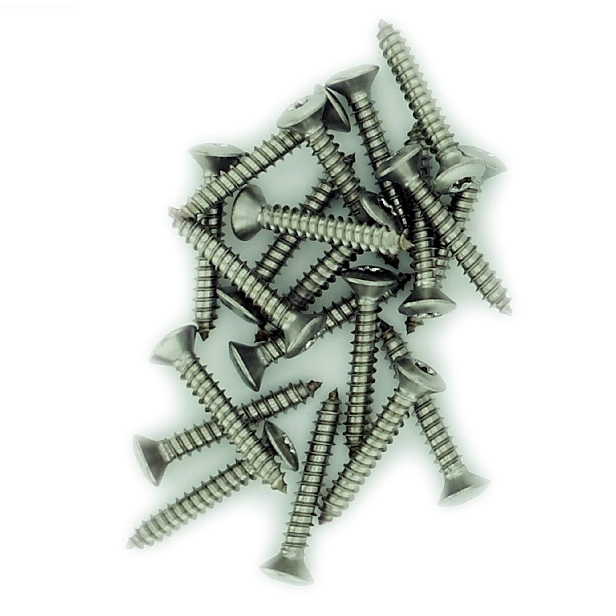 Singularity Supplies Silver No.10 X 0.975 (4.8Mm X 25Mm) Tx Raised Countersunk Self-Tapping Screw - Stainless Steel (A2) (Pack Of 20)