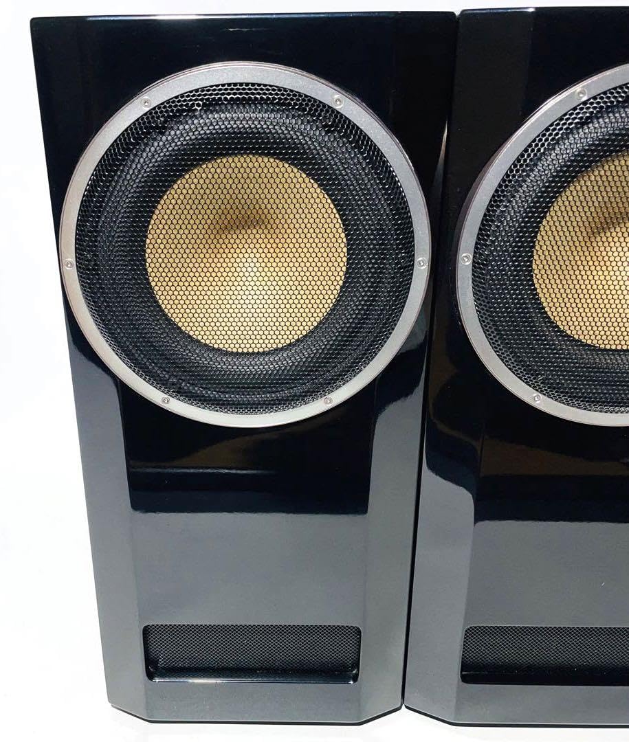 超高級】定価350万 Naturephone 6501P1 スピーカーペア