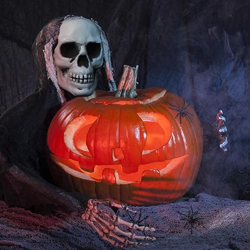 Miniatura 3 de DECHOUS 8 cabezas de calavera de Halloween de plástico cráneos de esqueleto realistas de Halloween a granel, cabezas de esqueleto de 5 pulgadas,