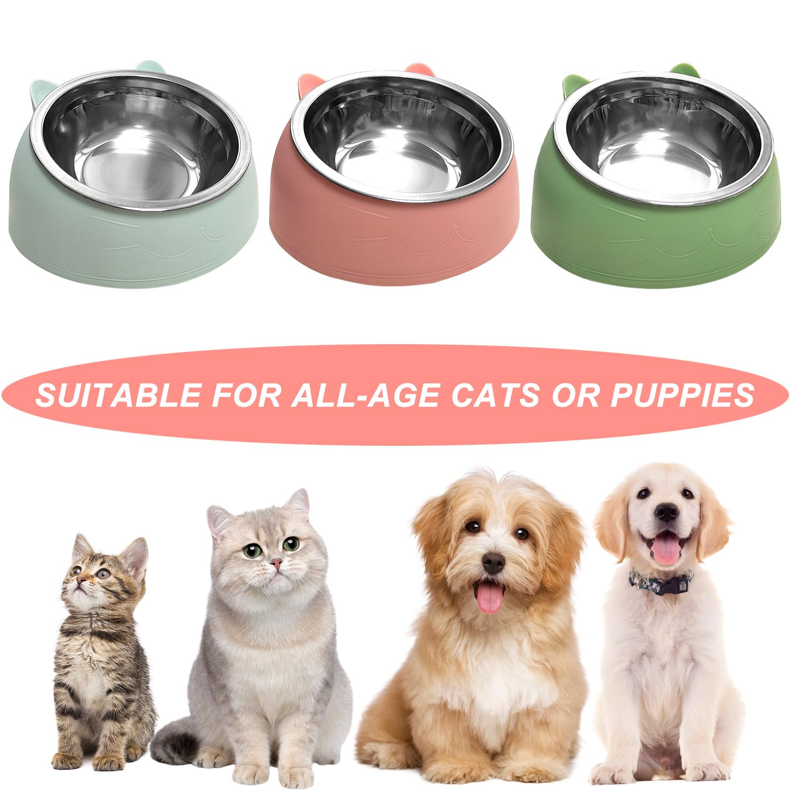 7 ciotole per cibo per gatti in acciaio inox inclinato per cani di piccola taglia rialzati a 15° piatto per animali domestici per gattini cuccioli antiscivolo rimovibile in acciaio inox ciotola per