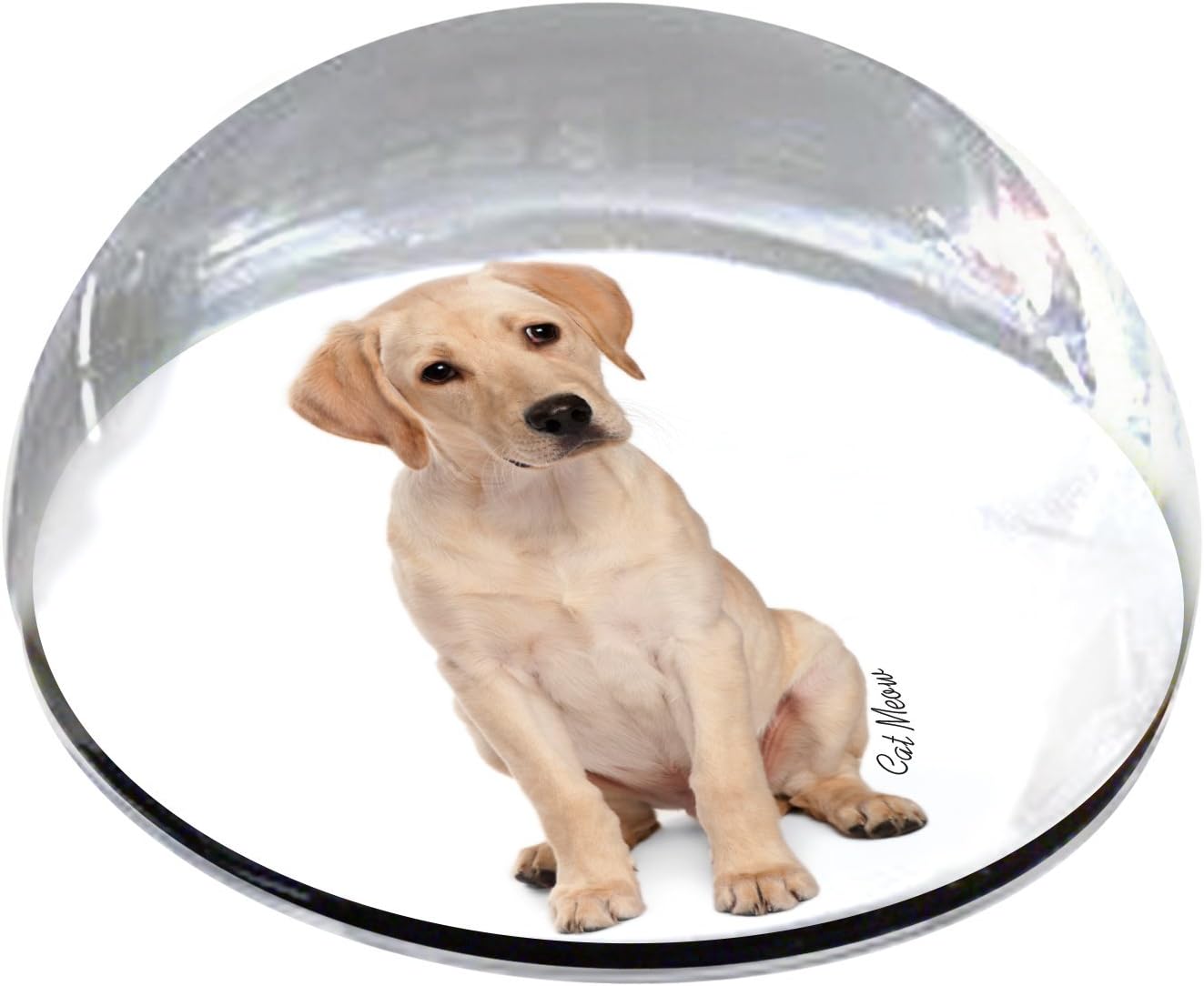 Forever Crystal "Golden Retriever Pet Memorial Magnet