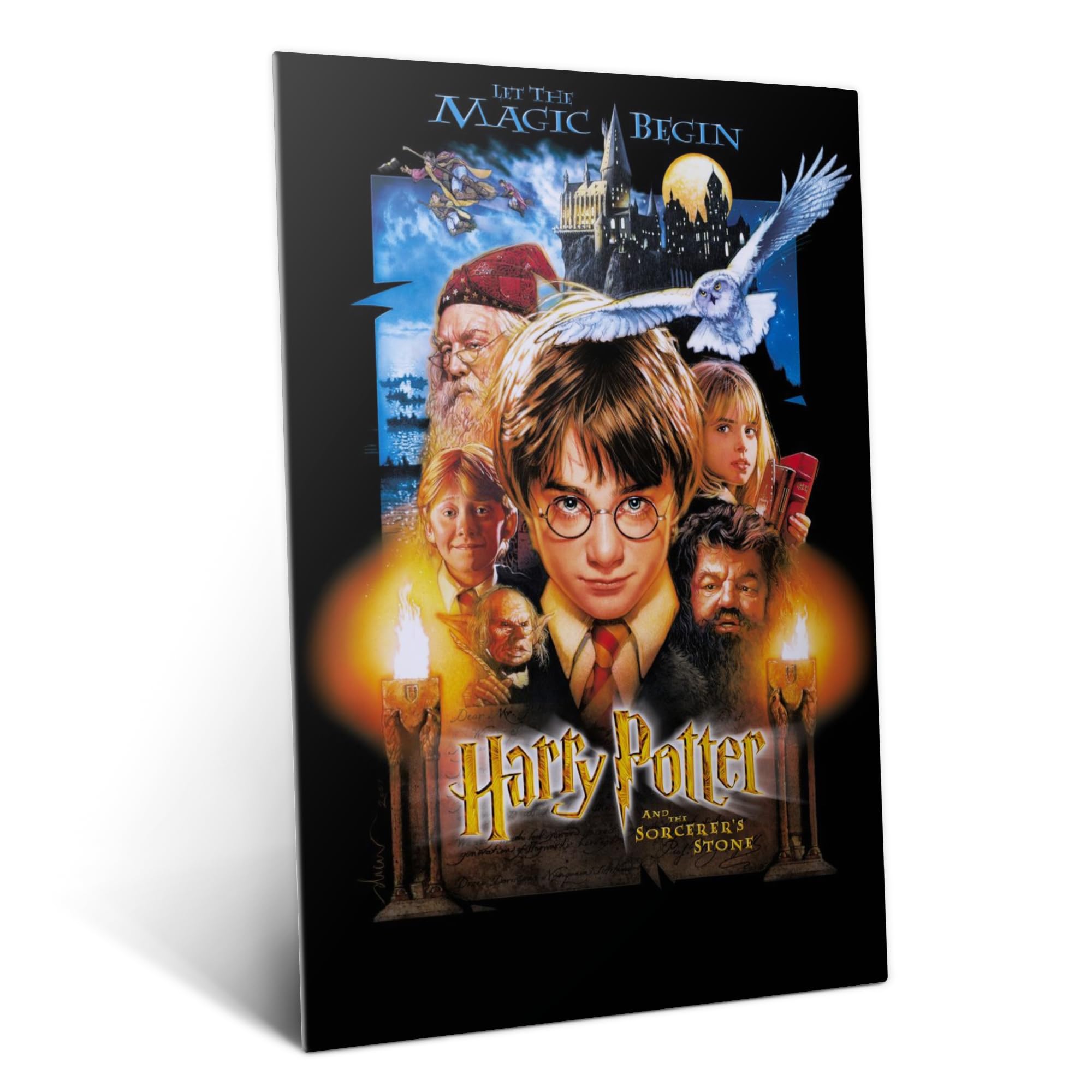 Amazon.com: Displate Metal Poster Harry Potter - Wizarding World