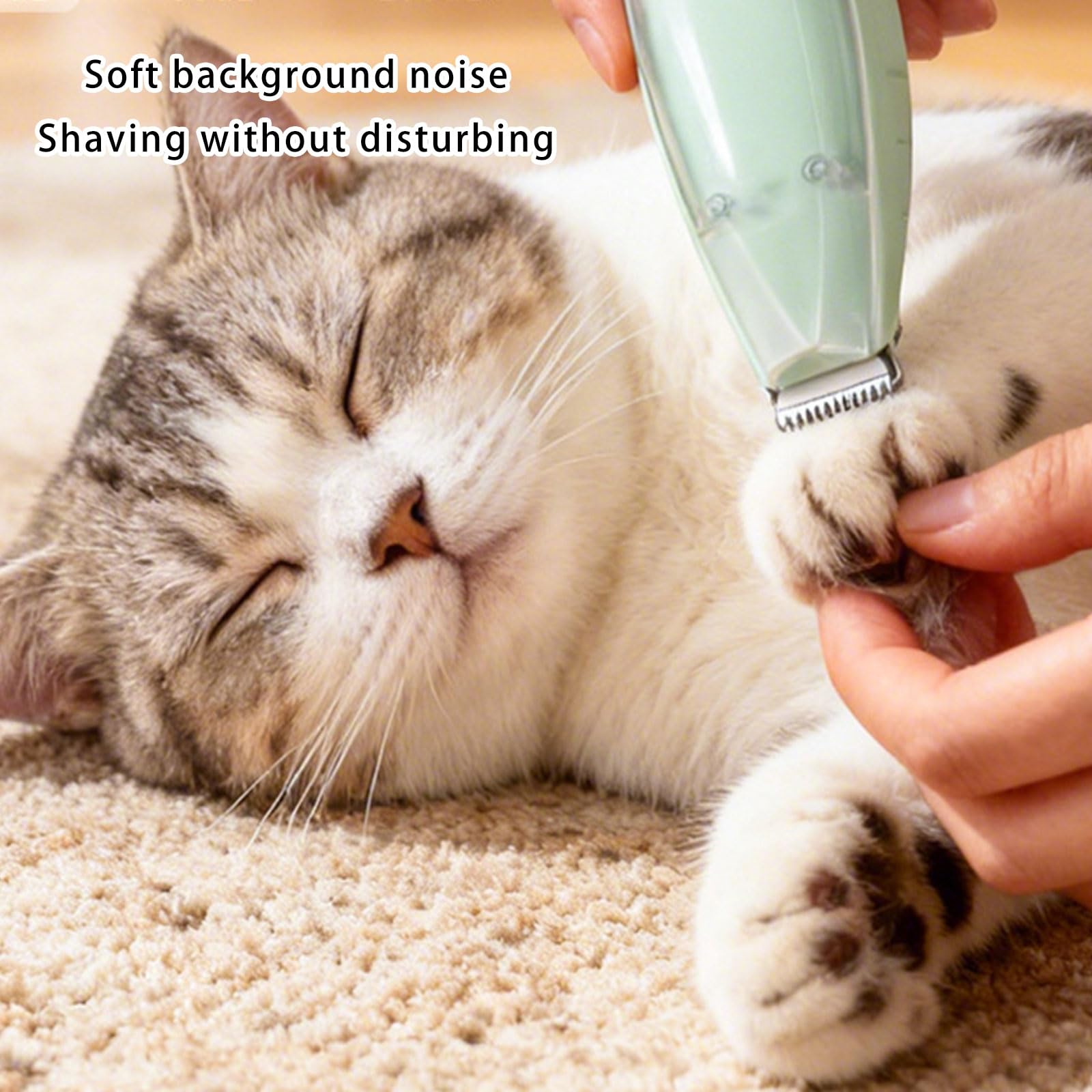Rifinitore per toelettatura antirumore per cani con, B