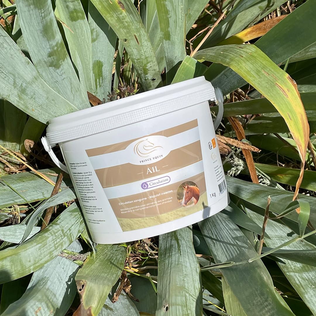 AIL - Complément nutritionnel Cheval - Seau 1 kg - Répulsif Contre Les Insectes - Circulation Sanguine - Soutien de la Respiration - Marque Française
