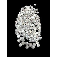 Deniz Kabuklar  100 Gr NO-8-UMB N UM